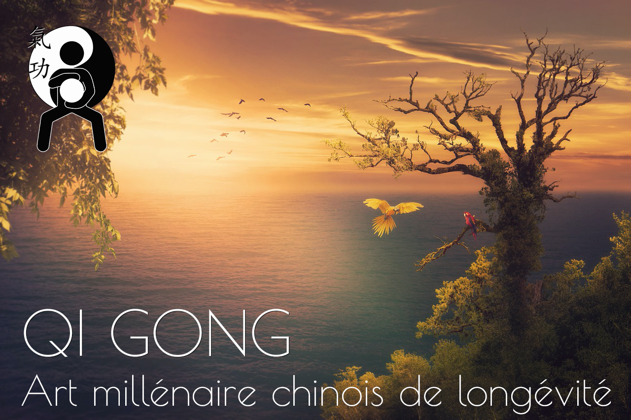 Header - Qi Gong