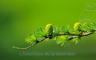 L’intuition et le bonheur