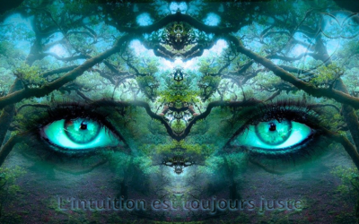 L’intuition est toujours juste